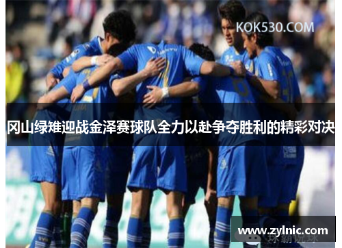 冈山绿雉迎战金泽赛球队全力以赴争夺胜利的精彩对决