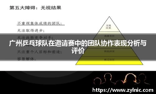 芒果体育官网入口