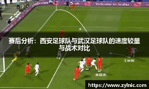 芒果体育官网入口