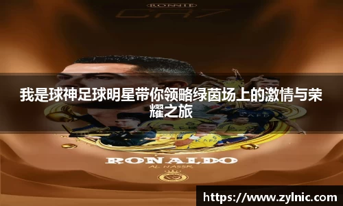 芒果体育官网入口