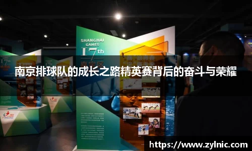 南京排球队的成长之路精英赛背后的奋斗与荣耀