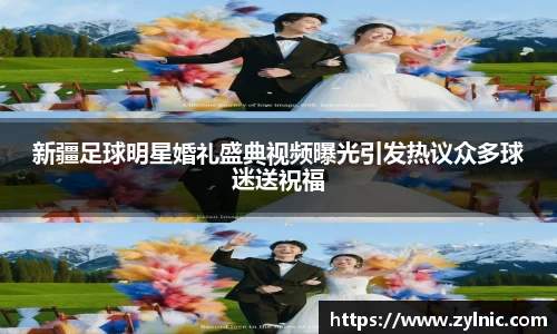 芒果体育官网入口