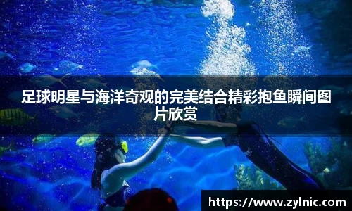 芒果体育官网入口